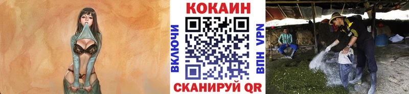 Кокаин Колумбийский Судогда