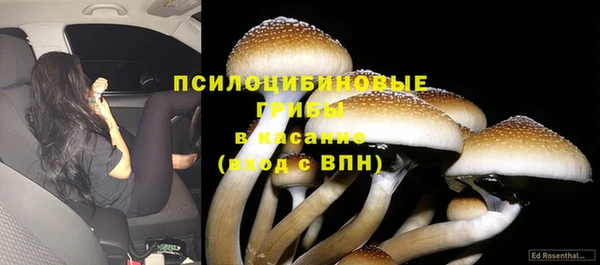 соль курить ск Алзамай