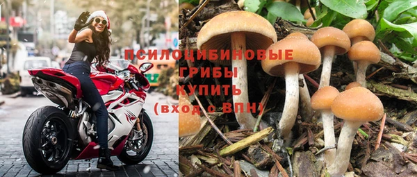 СК Алексеевка