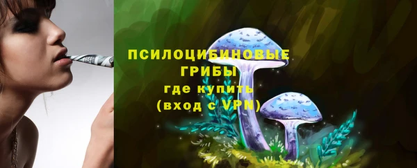 СК Алексеевка