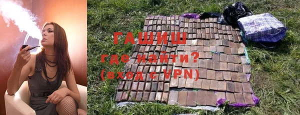 прущие грибы Армянск