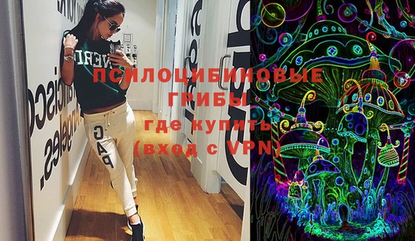 прущие грибы Армянск