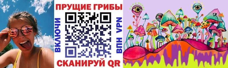 продажа наркотиков  Судогда  Псилоцибиновые грибы мицелий 